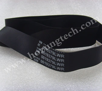 Transport Belt