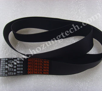 Transport Belt